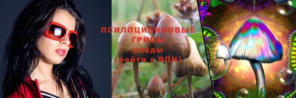 круглые Алзамай