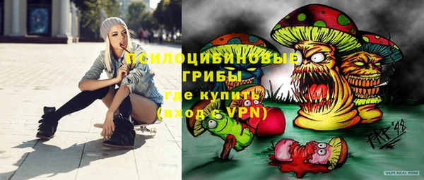круглые Алзамай