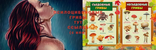 синтетический гашиш Алексеевка